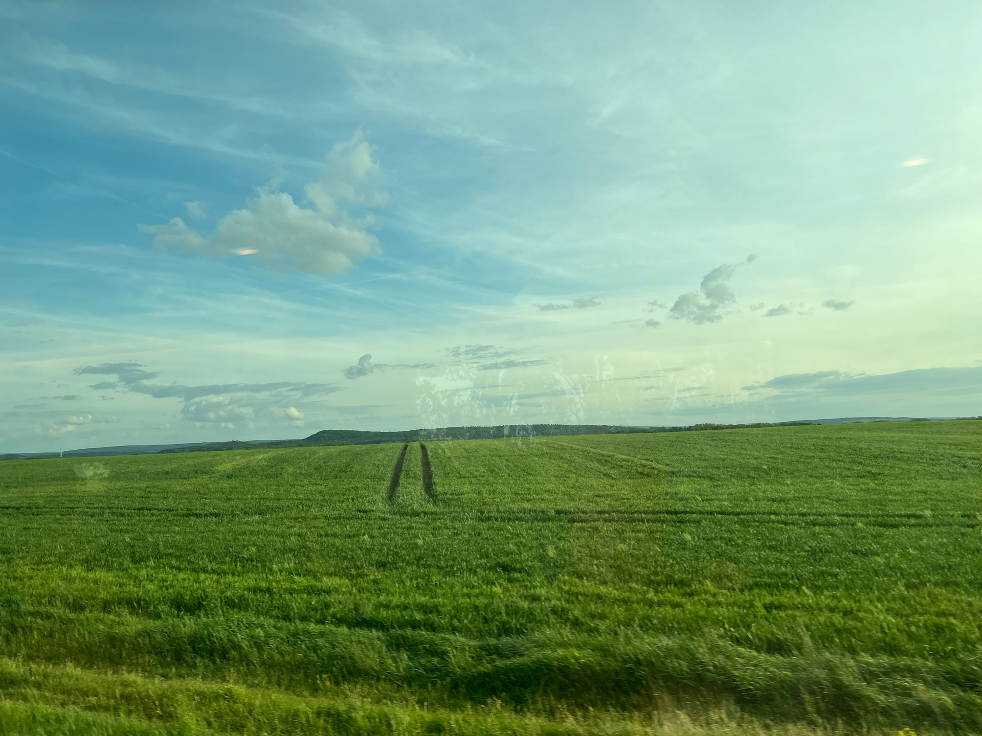 Reflections: Love shows up like its written